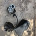 125 TDR pompe à huile 4fu/5ae 1993 - 2004