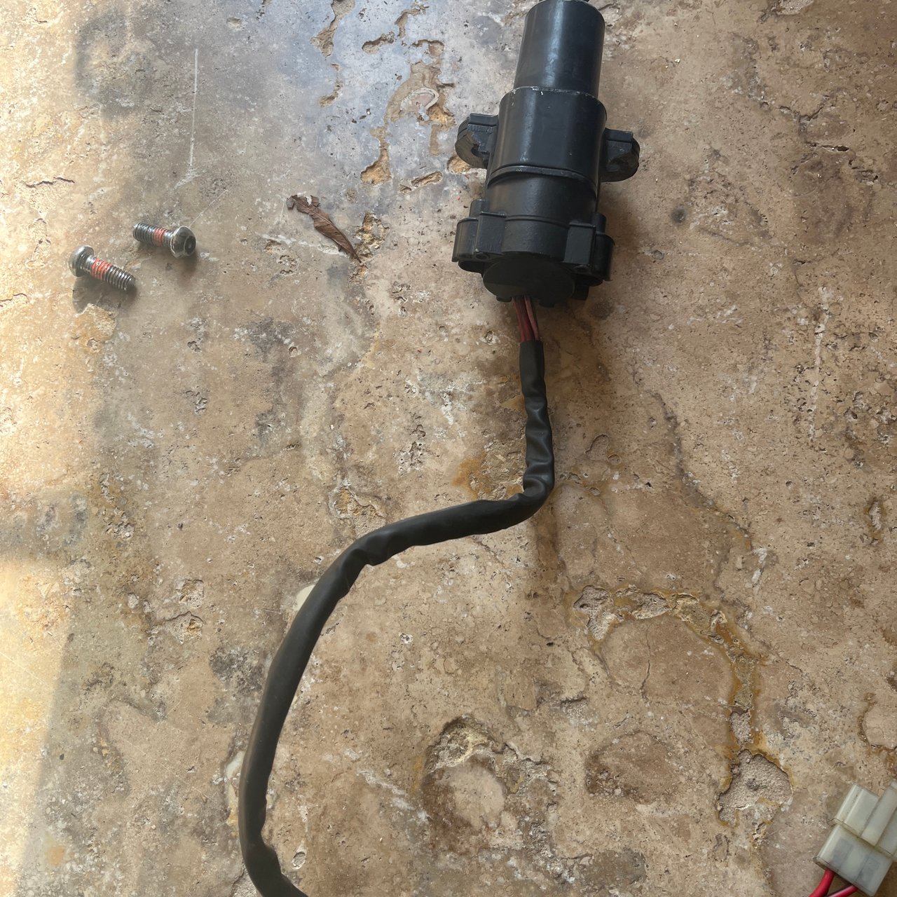 neiman - cb 600 hornet - 2003