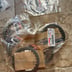 125 tdr embrayage NEUF sous blister yamaha 4fu / 5 ae 1993 / 2004