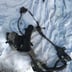 850 tdm 4 tx freins arriere complet yamaha 2001