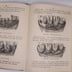Livre 1930's VADE MECUM SAGAS  Résumé pratique des connaissances Vétérinaires et Agricoles