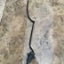 125 TDR contacteur de bequille -Yamaha 4fu/5ae 1993 - 2004