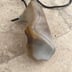850 tdm vase expention d'eau  yamaha 4TX 2001